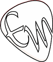 evolutelmusical music musica acoustic acoustic guitar Sticker