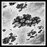 Art Loop GIF by xponentialdesign