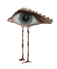 Eyes Lashes Sticker by yux
