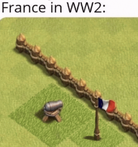 France GIF