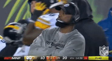 Pittsburgh Steelers Football GIF by NFL
