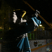 Fun Celebrate GIF by Quad City Storm