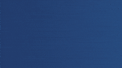 Champions Believe GIF by Mumbai Indians