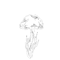 Mushroom Sticker