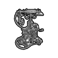 Black And White Vintage Sticker by The Wild Curiosity