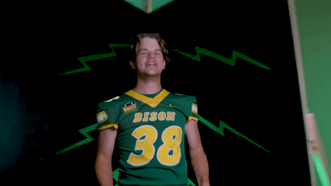 Bison Cardinal GIF by NDSU Athletics