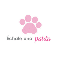 Pet Ayuda Sticker by petinnmexico