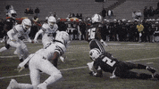 Sport Bobcats GIF by Texas State Football