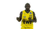 Ewe Baskets Basketball Sticker by EWE Baskets Oldenburg