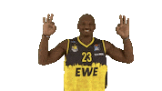 Ewe Baskets Basketball Sticker by EWE Baskets Oldenburg