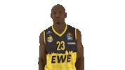 Ewe Baskets Basketball Sticker by EWE Baskets Oldenburg