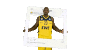 Ewe Baskets Basketball Sticker by EWE Baskets Oldenburg