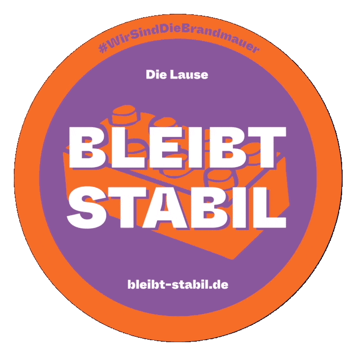 drunkenmasters giphyupload stabil bleib brandmauer Sticker