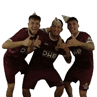 Fun Meyer Sticker by BFC Dynamo