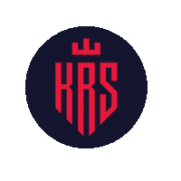 Rema1000Ligaen Sticker by Norsk Topphåndball