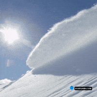Winter Wonderland Snow GIF by Damnjobs