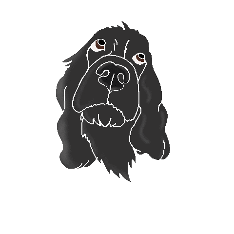 perritofrito giphyupload Sticker