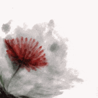 Take Care Vlieg GIF