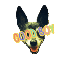 Dog What Sticker by Piercingstudio heul doch