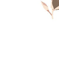 Flower Falling Sticker
