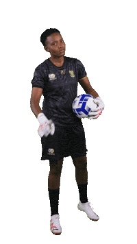 Celebration Banyanabanyana Sticker by Shield South Africa