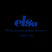 elsadebrecen elsa elsadebrecen GIF