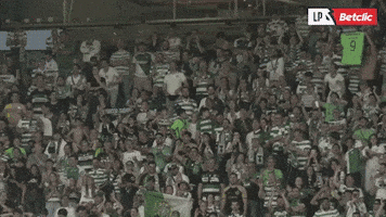 Sporting GIF by Betclic Portugal