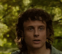 Macron GIF by systaime