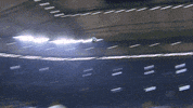 Football Soccer GIF by FC Schalke 04