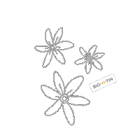 Flower Spring Sticker by Dr. Pfleger