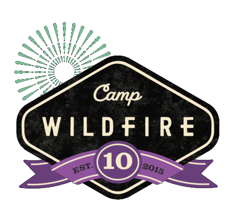 Fireworks Sticker by CampWildfire