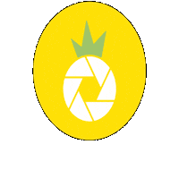 Costa Rica Pineapple Sticker by OHANAPHOTOSHOP
