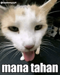 Melet GIF