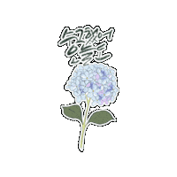 Flower 스티커 Sticker