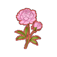 Flower 스티커 Sticker