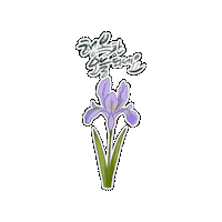 Flower 스티커 Sticker