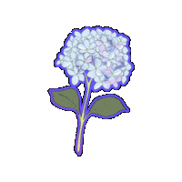Flower 스티커 Sticker