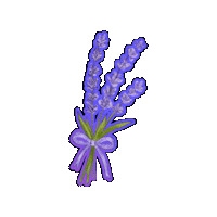 Flower 스티커 Sticker