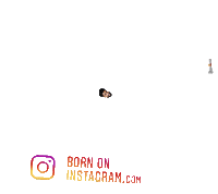 Yogidayahooboi Sticker by BORN ON INSTAGRAM