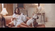 heartbreak diet - salen GIF by Island Records UK
