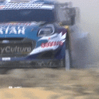 Rallying Ford GIF by FIA World Rally Championship
