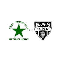 Sport Heerlen Sticker by Groene ster