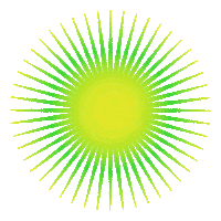 Skin Care Beauty Sticker by Herbivore Botanicals