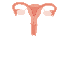 Blood Menstruation Sticker by Happeriod