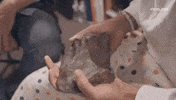 nutsandbolts rock viceland tyler the creator neil degrasse tyson GIF