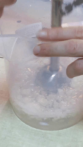 LauBLau giphyupload GIF
