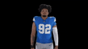 Nfl Nodding GIF by Detroit Lions
