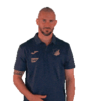 Sport Logo Sticker by TSG Hoffenheim