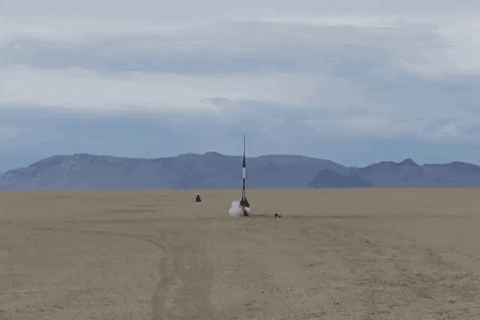 cpcutshaw giphygifmaker GIF