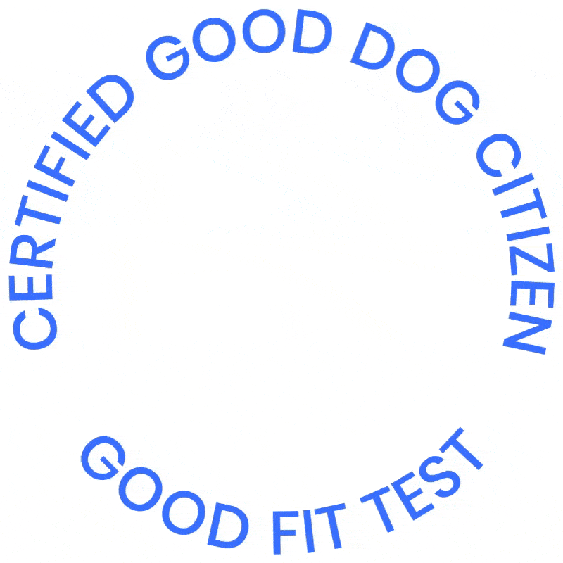 Dogdrop giphyupload dogdrop good fit test GIF